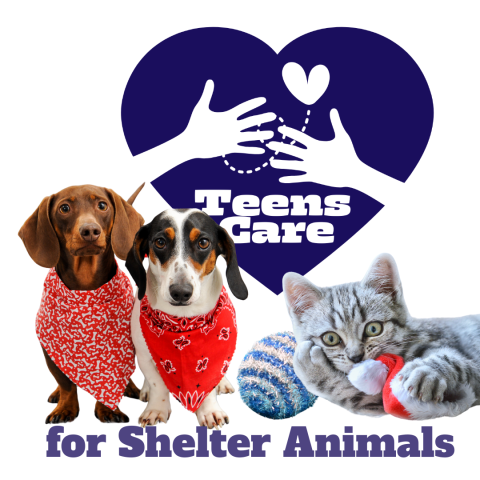 teens care heart logo with two dogs with bandanas and a kitten playing