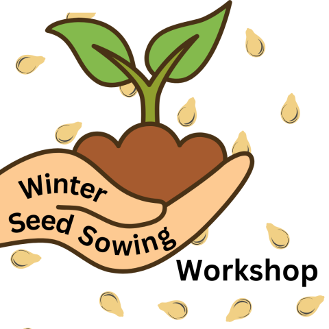 Hand holding a seedling with the words, Winter Seed Sowing Workshop.