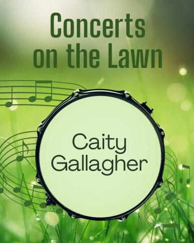 Green Lawn with musical notes. Tops of drum as a frame.