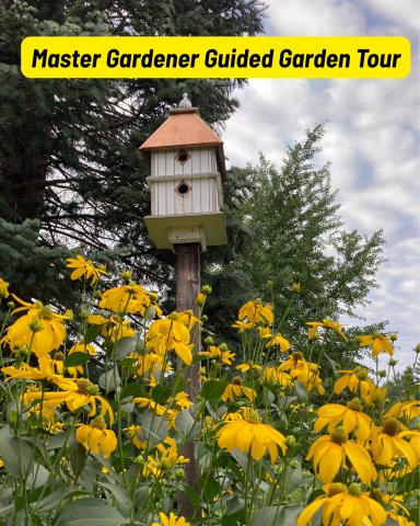 Photo taken on the grounds of the Cornell Cooperative Extension featuring yellow flowers with a two level birdhouse.