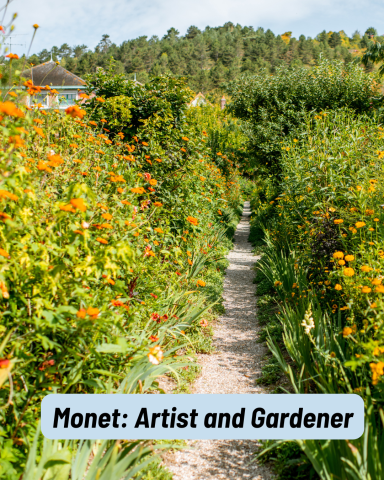 A path runs through a lush field of orange flowers with Monet's house in the top corner.