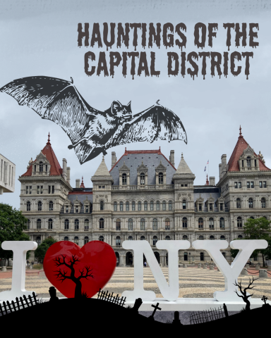 The New York State Capital Building with a bat flying over it.