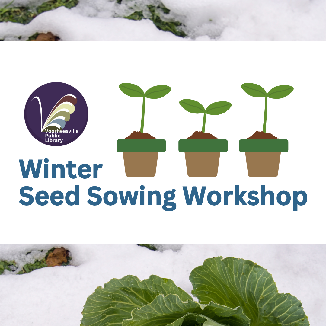 Winter Seed Sowing Workshop with threes seedling in small pots