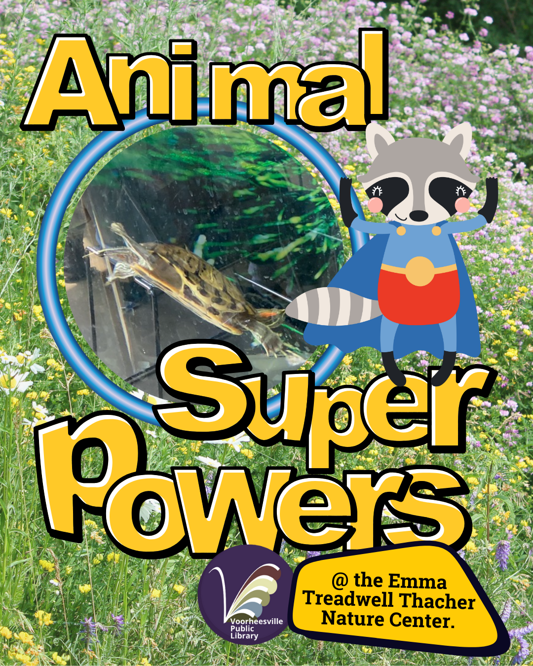 A turtle and a racoon flexing their animal super powers!